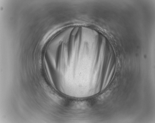 X0000060230247200511111911