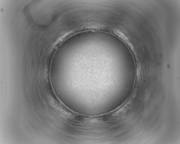 X0000060230249200511111911