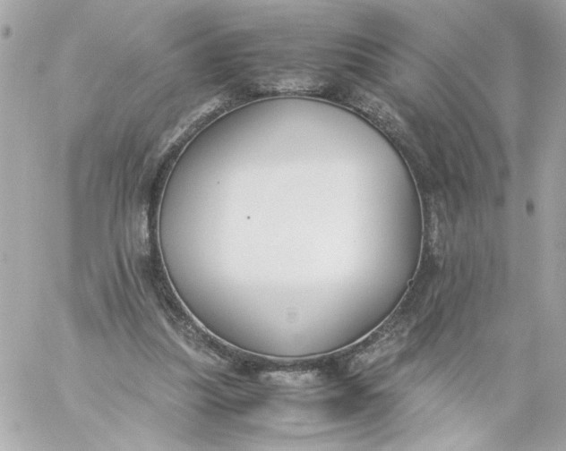 X0000060230251200511111911