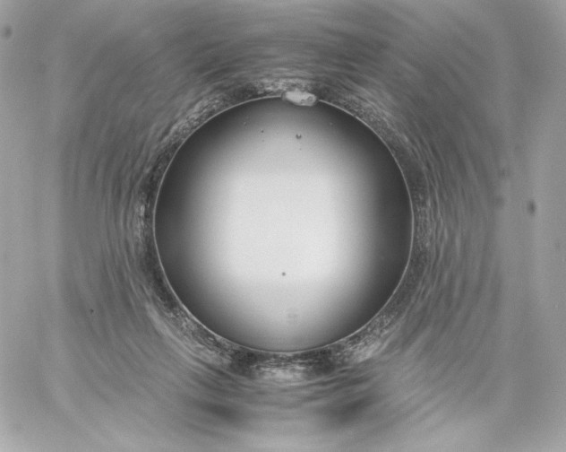 X0000060230263200511111911