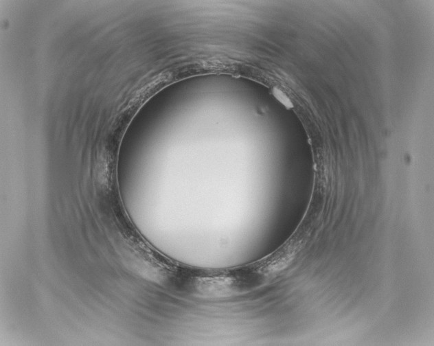 X0000060230266200511111911