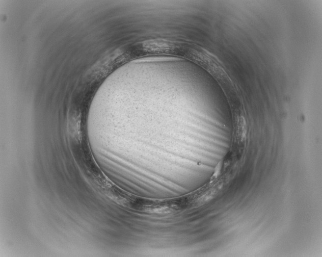 X0000060230267200511111911