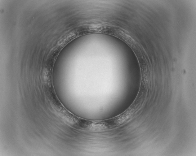 X0000060230270200511111911