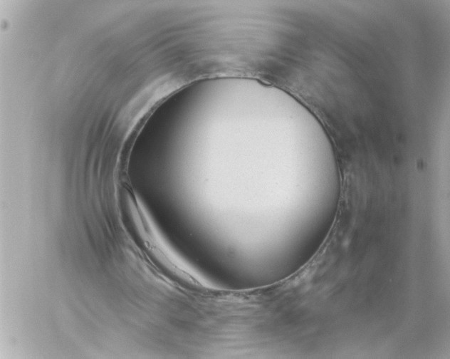 X0000060230290200511111910