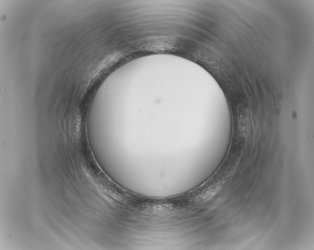 X0000060230304200511111910