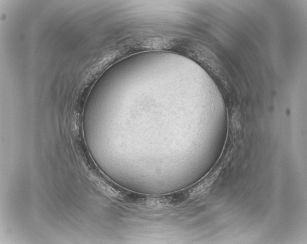 X0000060230305200511111910