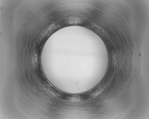 X0000060230308200511111910