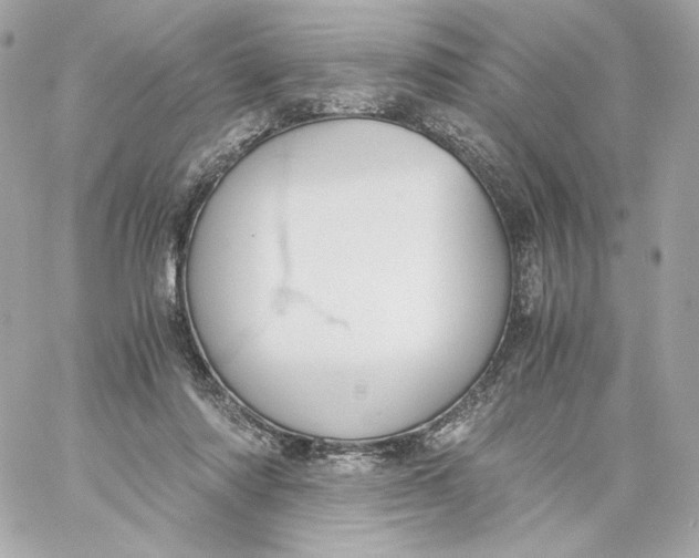 X0000060230310200511111910