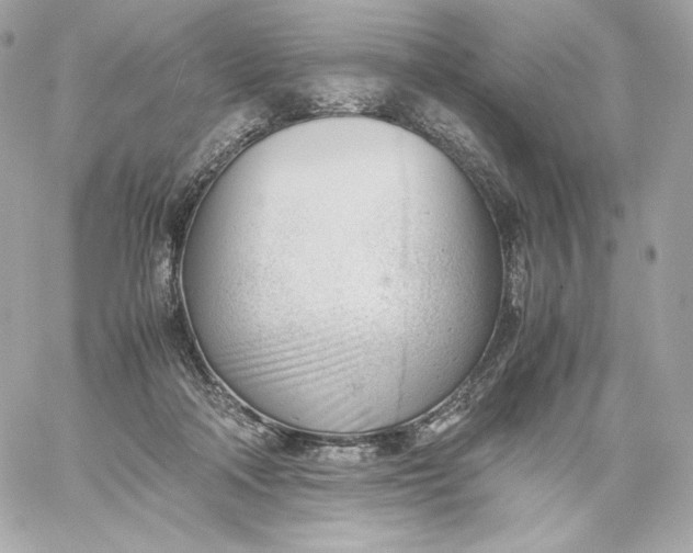 X0000060230314200511111910