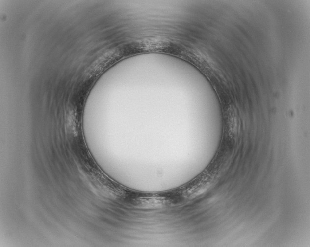 X0000060230316200511111910