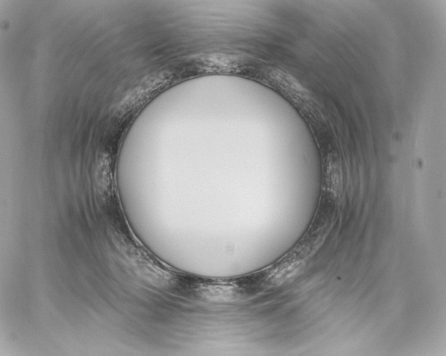 X0000060230318200511111910