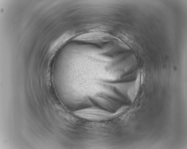 X0000060230339200511111909