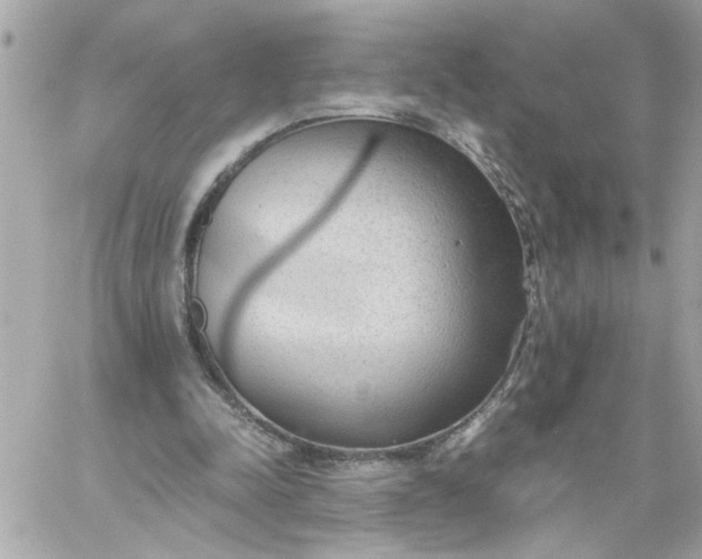 X0000060230342200511111909