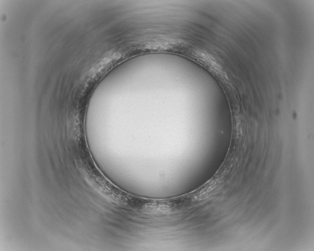 X0000060230354200511111909