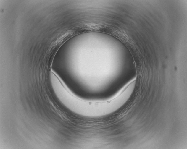 X0000060230360200511111909