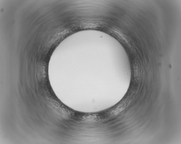 X0000060230362200511111909