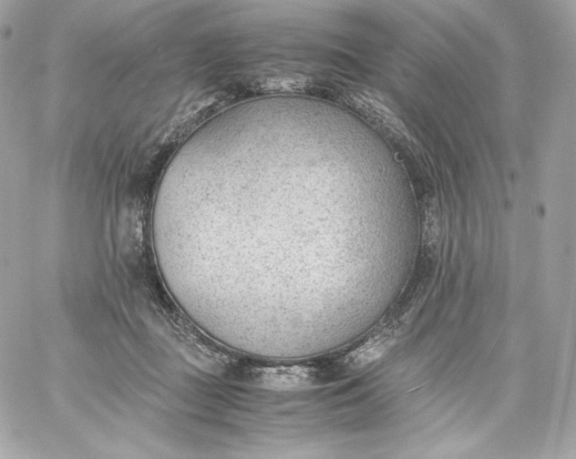 X0000060230363200511111909