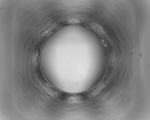 X0000060230364200511111909