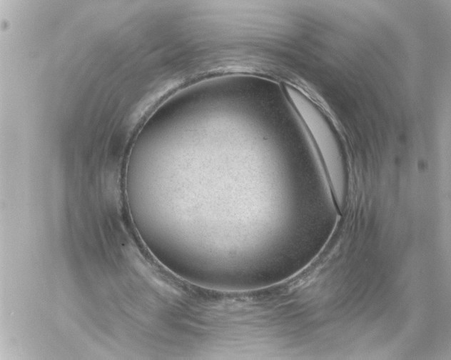 X0000060230386200511111909