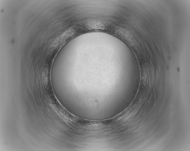 X0000060230402200511111909