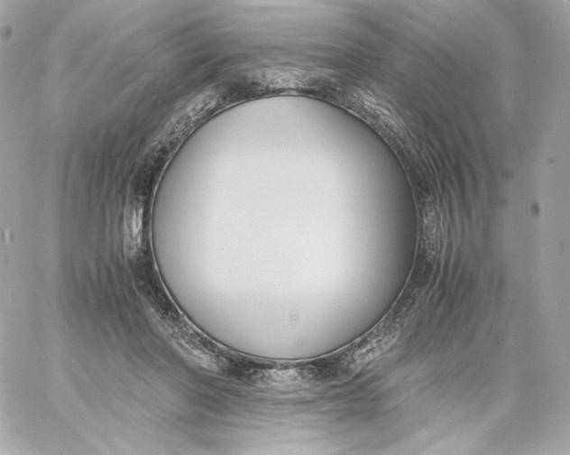 X0000060230406200511111908