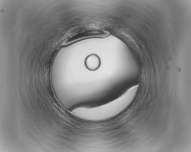 X0000060230409200511111908