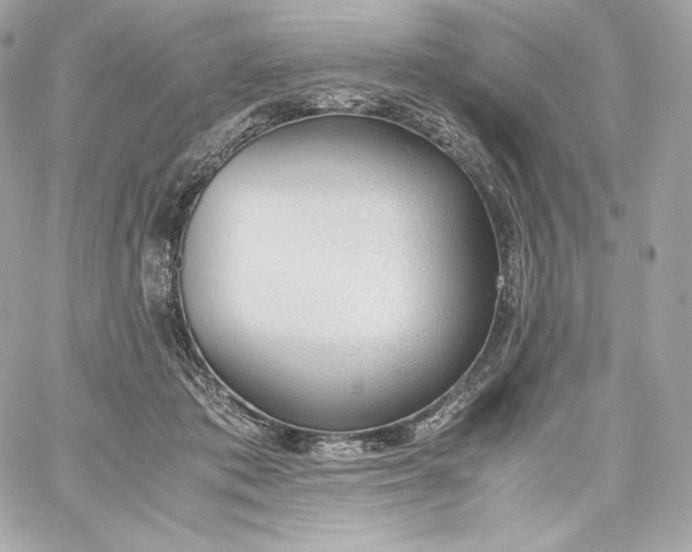 X0000060230413200511111908