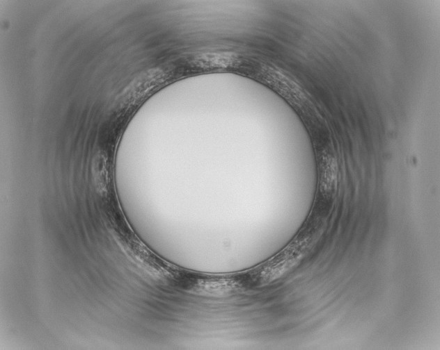 X0000060230414200511111908