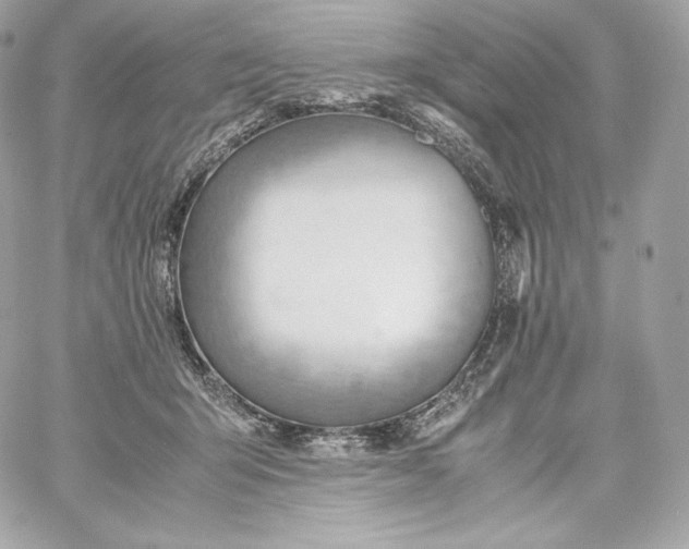 X0000060230415200511111908