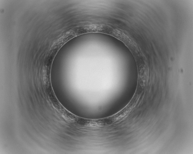 X0000060230416200511111908
