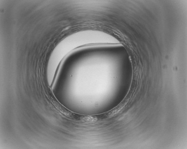 X0000060230421200511111908