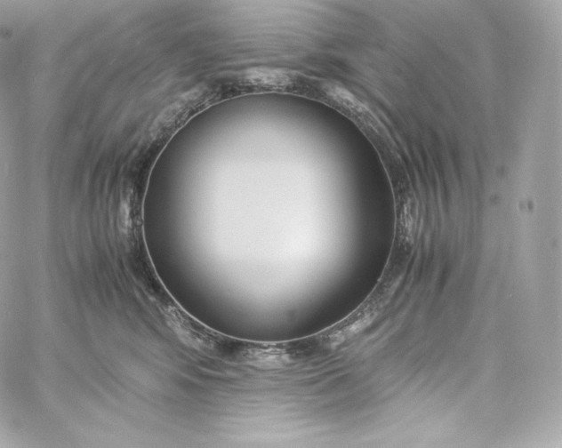 X0000060230424200511111908