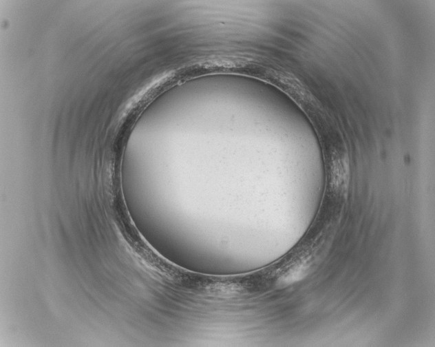 X0000060230444200511111907