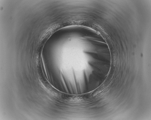 X0000060230451200511111908