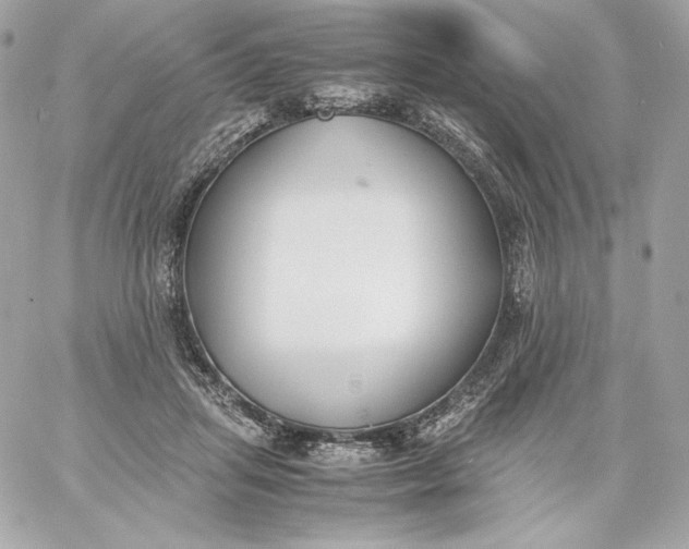 X0000060230455200511111908