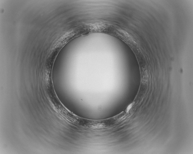 X0000060230456200511111908