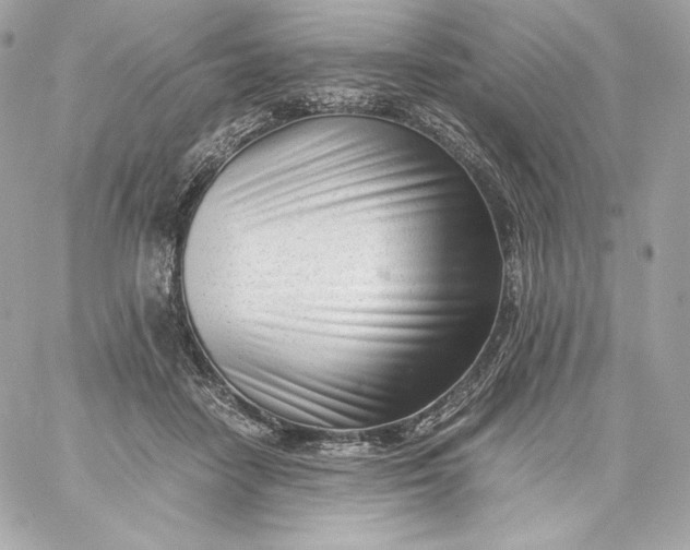 X0000060230458200511111908