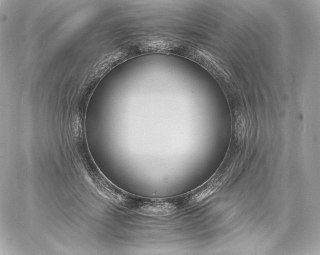 X0000060230459200511111908