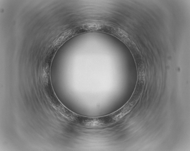 X0000060230460200511111908