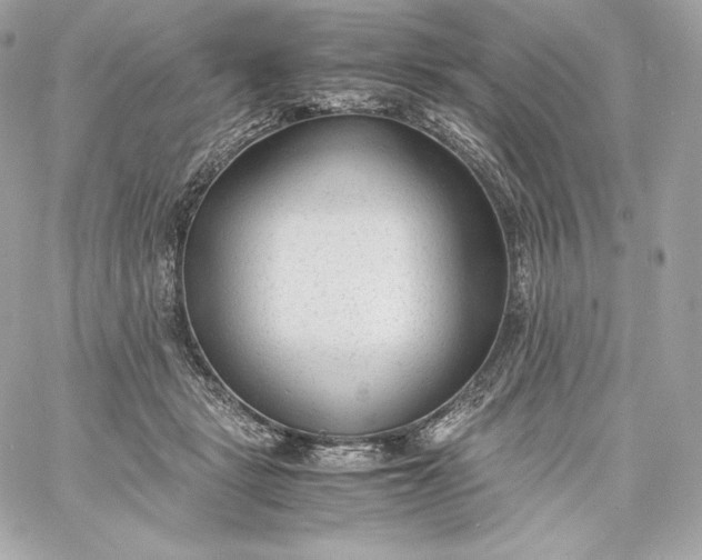 X0000060230461200511111908