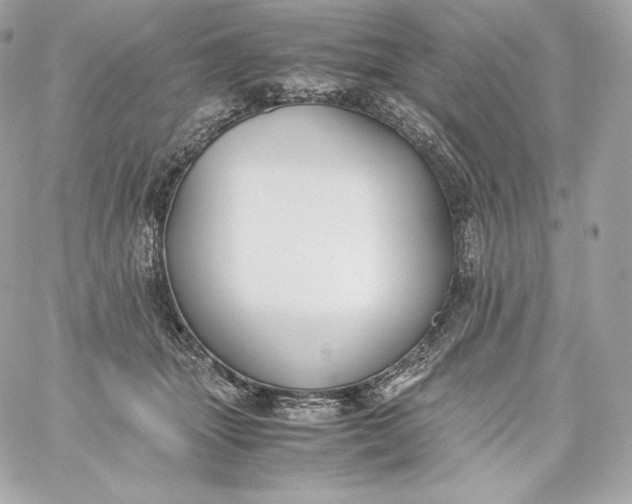 X0000060230463200511111908