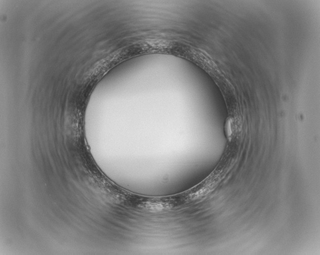 X0000060230464200511111908