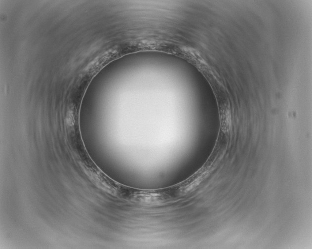 X0000060230472200511111908