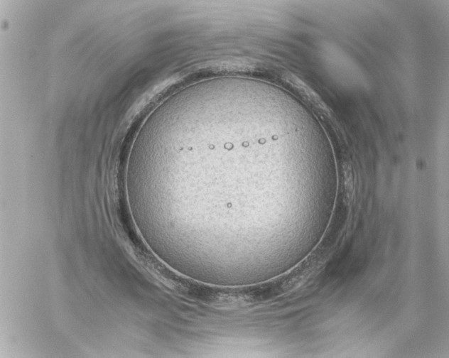 X0000060230487200511111907