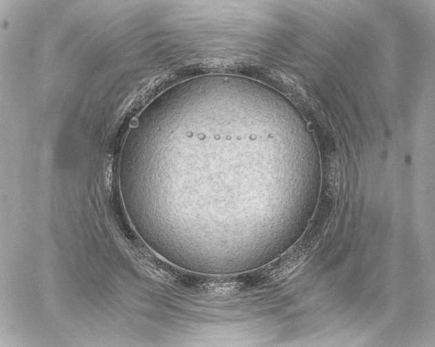X0000060230495200511111907