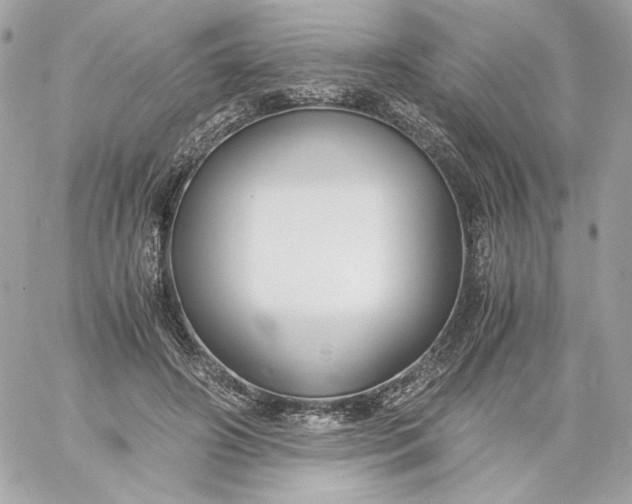 X0000060230498200511111907