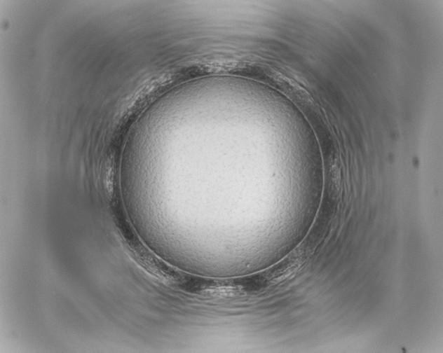 X0000060230499200511111907