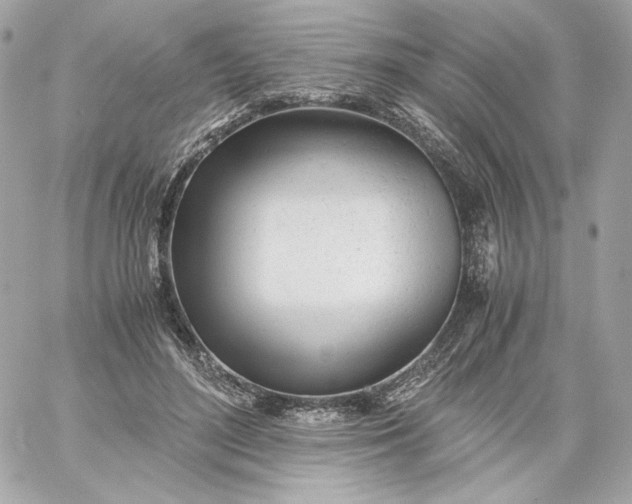X0000060230500200511111907
