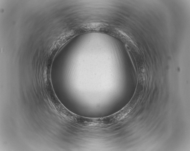 X0000060230504200511111907