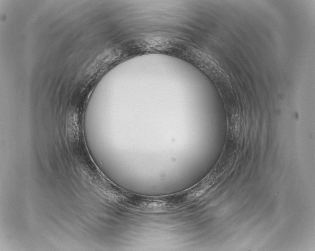 X0000060230506200511111907